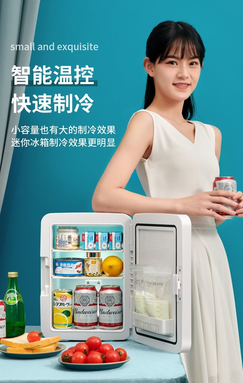 SAST mini refrigerator for cooling small cosmetics, suitable for single-person dormitory, home use, refrigeration and preservation appliance, car-mounted cooling and heating box