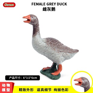 ���挍��Ұ�������Zģ�ʹƻ��Z�����Z��������ģ�̓�ͯ�J֪���