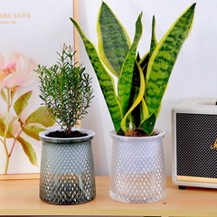 透明プラスチック植木鉢ダイヤモンドスターポット怠惰な人向けの特別な樹脂自吸式水耕栽培多肉植物ポトスおはようポット卸売
