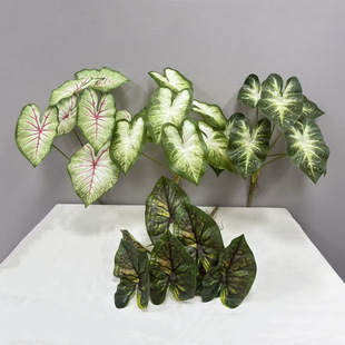 ÷�ط���������~ �����~ ɭϵ�@���쾰 ��7���ɫ���^�~