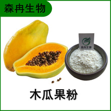 木瓜果汁粉 木瓜提取物 高倍浓缩粉 白色粉末 植物提取原
