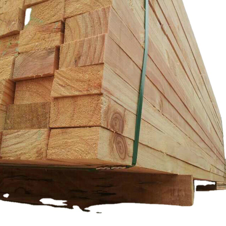 ����ľ�� �չ�20�� ��Դ���� ���׶���  �������