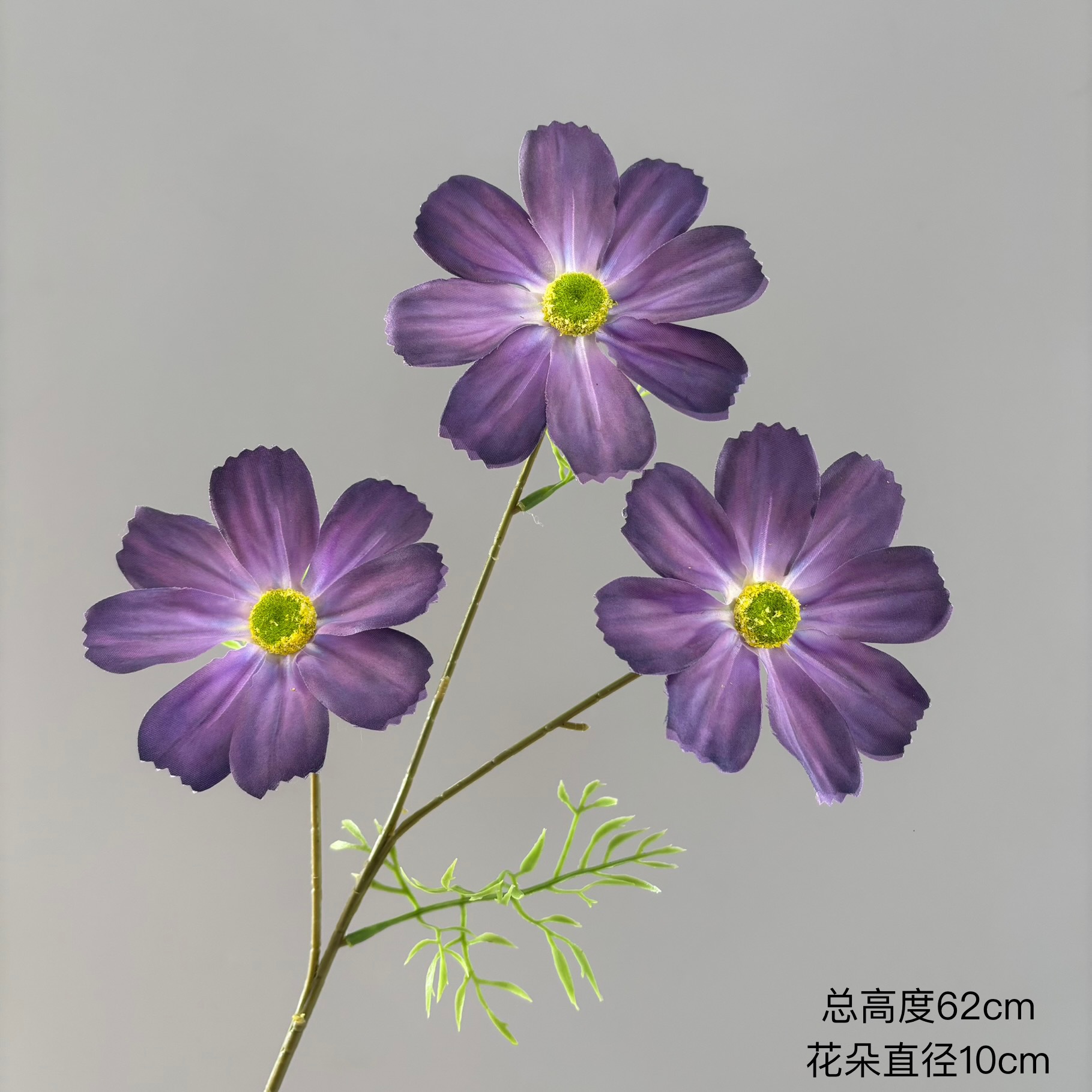 진한 보라색