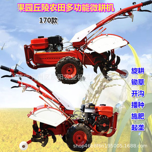 �������N��@����C�_�������z��ʩ�ʲ��Nһ�w�C���͙C����΢���C