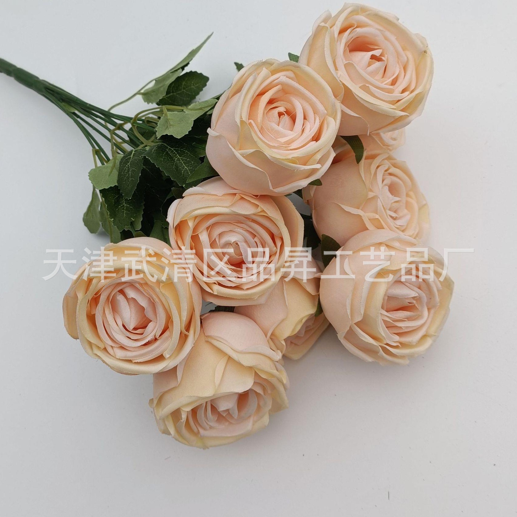 ea9e104de0093a1f2c6b3569e38d9f