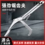 不锈钢弹簧蛇夹