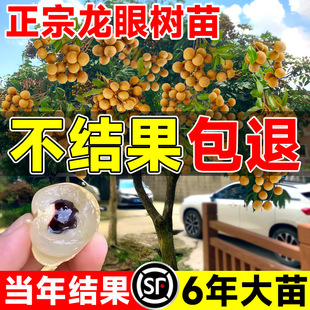 ���ۘ���޽�����ˮ�����烦�����Aʯ���Ϸ��ļ��Nֲ�ش�̖������