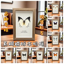 ������˱���6����� ����С�[��DIY�Ҿ��b�ˇƷ ���նY�����l