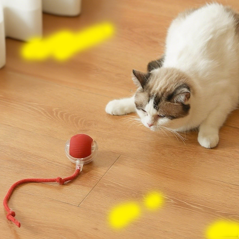 子猫用電動ボールインタラクティブおもちゃ、ペットの自発的な遊び、退屈解消グッズ、充電式スマート猫じゃらしボール、知育玩具|undefined