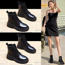 RѥٴӢLͲѥŮ2025ﶬ¿n泱ƤѥF؛