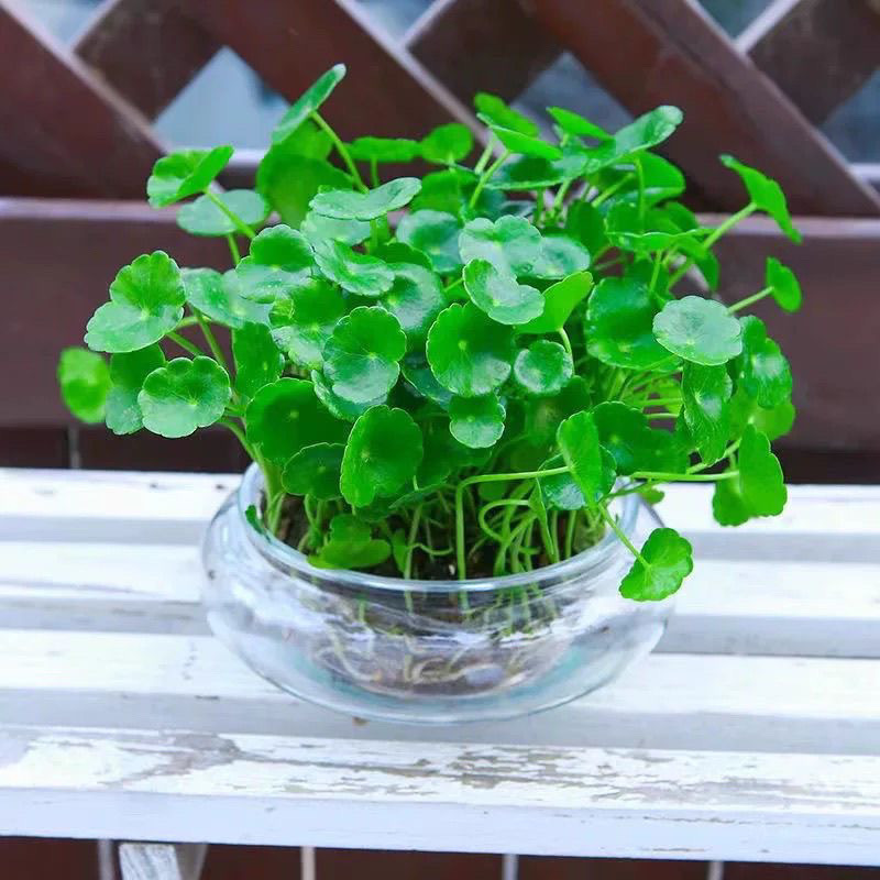 0162a93a-754b-4bcc-9aab-62c56ed40c4c.jpe