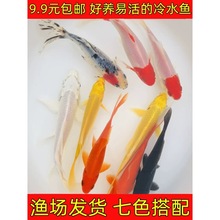 ���B��ˮ���~���wС���~С�t�ݽ��~���^�p�~������~�t�\�a�\���~