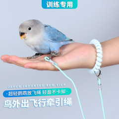 オウムは縄を飛ばして足を傷つけません。