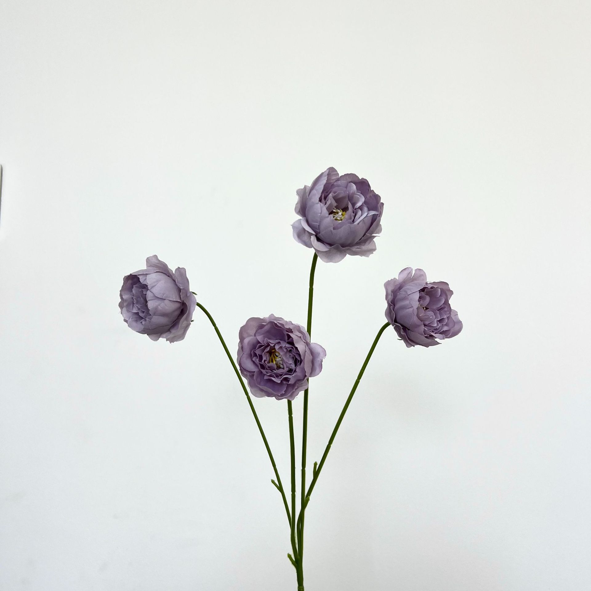 Lila 4 pequeñas peonías exquisitas