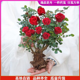 õ�廨�����Ϙ��¼������ش������ļ��_���ܼt�Nޱ��ɫ��֭���