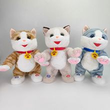 �綯ë����߻�˵������¼���������è��ɰ���ͯ���è�乫��