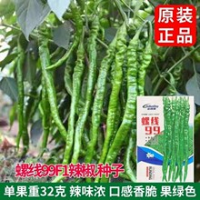 线椒种子农科院正品螺丝椒螺线99F1椒大田盆栽各种菜种子特长香辣