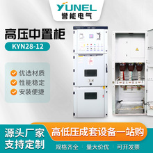 10KVÙKYN28-12߉M߉_P10KVMӋ늙