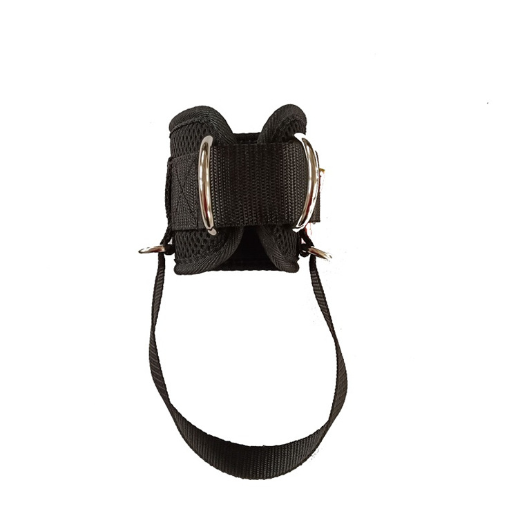 ���������˶������״��������������˶�������߸��ػ���������