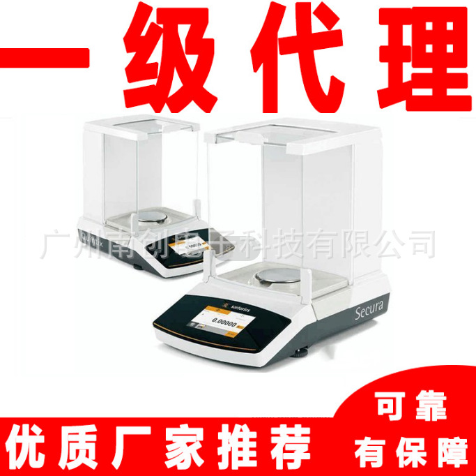 赛多利斯十万分之一天平BCE1202i-1CCN