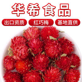 厂家批发散装新货红巧梅产地直供无沫红巧梅干花花草茶量大从优