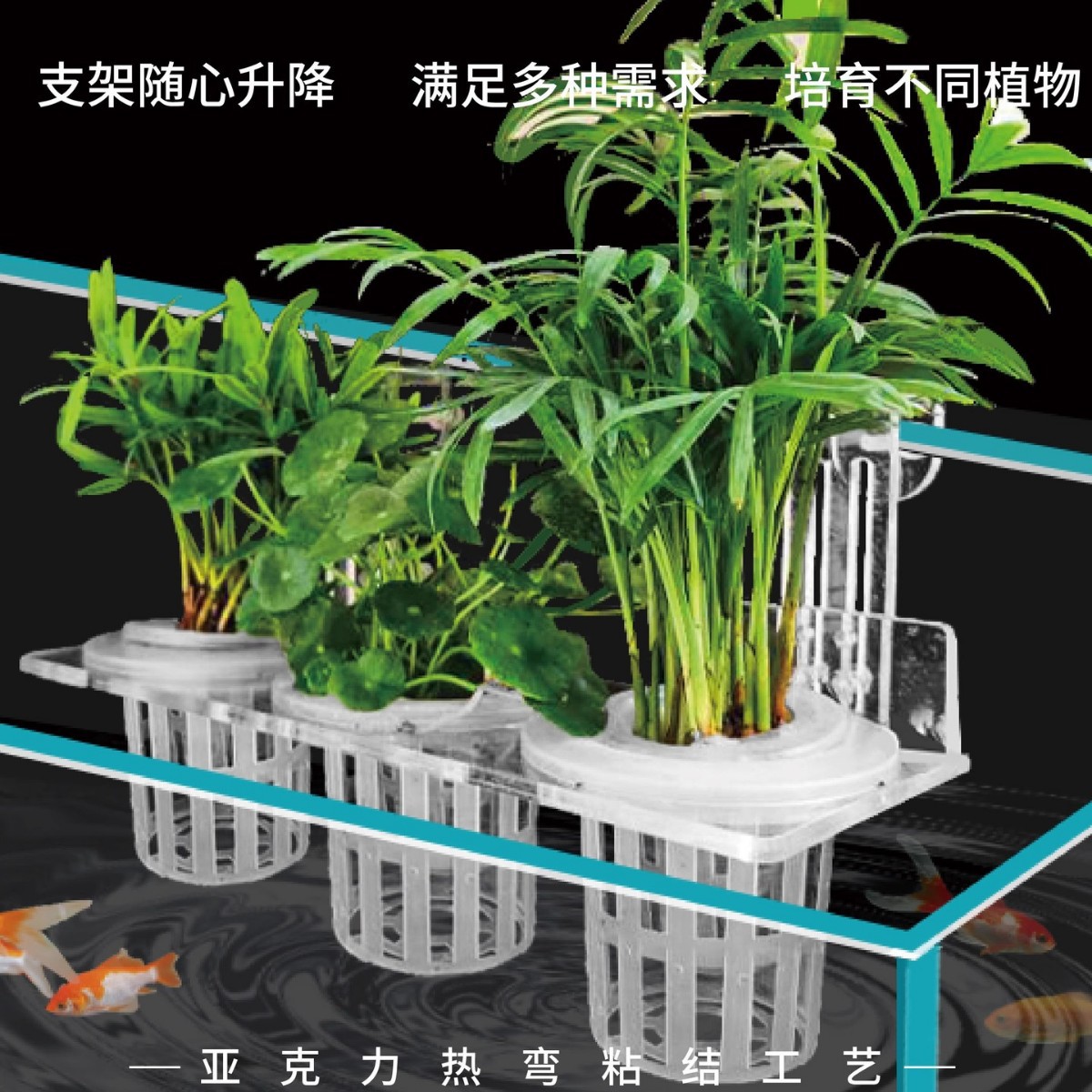 鱼缸水培植物支架定植篮固定水草杯造景绿植壁挂水生种绿萝红薯苗