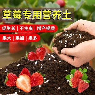 Special Nutrient Soil for Strawberries, Universal Soil for Melon and Fruit Trees, Potted Planting Soil, Balcony Organic Soil, Soil for Organic Plants
