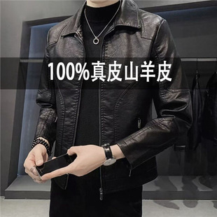 �����n�掛��Ƥ���з��I��Ƥ�Ӻ��¿�����C܇�ӽqƤ�A����ʿ���e