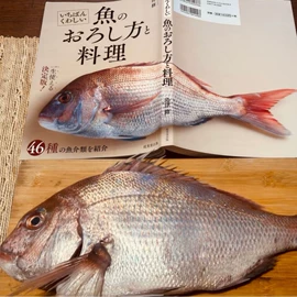 鱼类;贝类;软体类