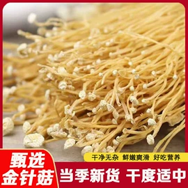 代用/养生茶;花果茶;枸杞及其制品