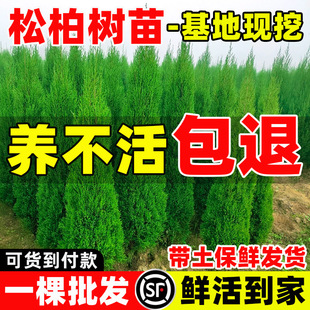 �ɰؘ��玧���ؘ�Ȱ����������ɘ䉞�؉�ǰĹǰ�Gֲ�@�־G������