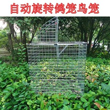 ԄTÏS\Bֳ\D\¿Bֳu\