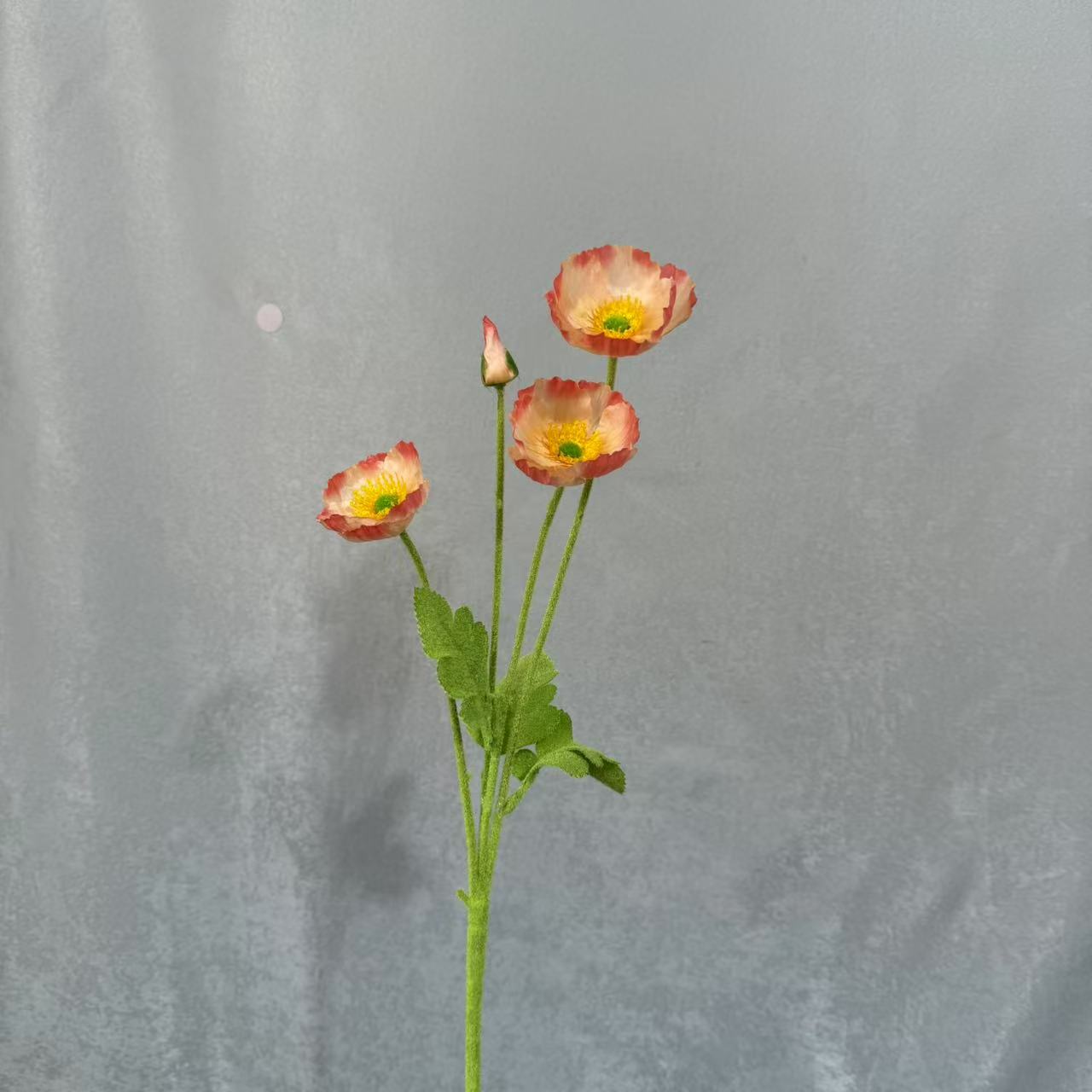 샴페인 오렌지 컬러