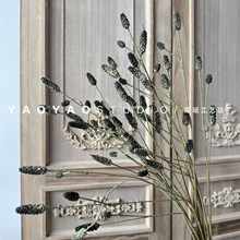 ������� ��Ʒ�|�ﶬ���ӿ͏d�Ӱ��g�Ĕz����  ��ˇ�OӋ ��������