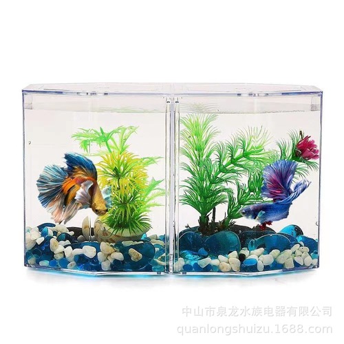 Double fighting fish box diamond-shaped with holes high permeability fighting fish tank isolation box incubation box desktop plastic small fighting fish tank