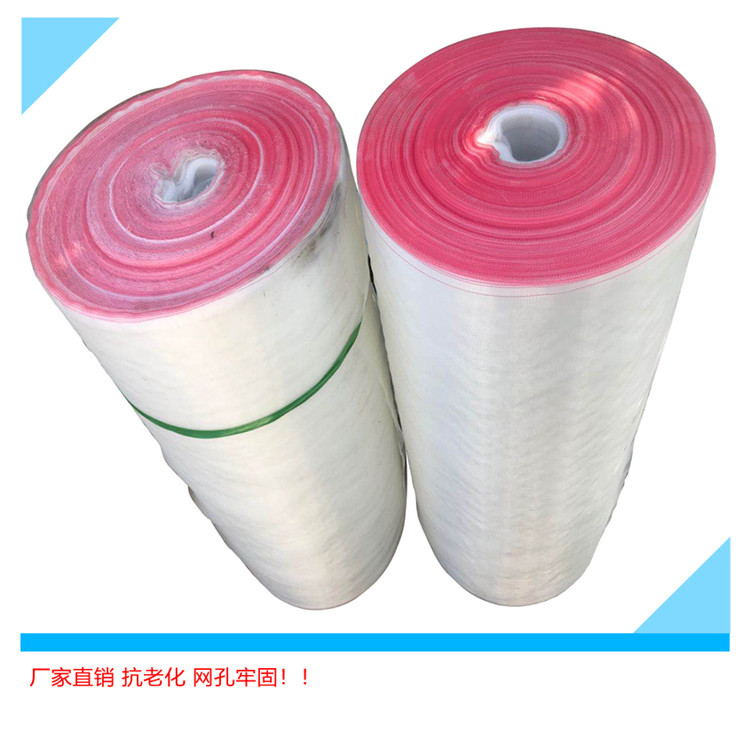 宜豪美牌跨境出口加厚水果防蚊虫网折叠大棚防虫网60目作物防虫网