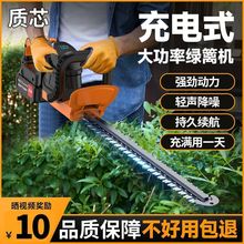 进口绿篱机电动采茶机绿化修剪机园林绿化锂电充电式自动小型修草