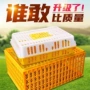 养殖加厚家用防摔鸡笼