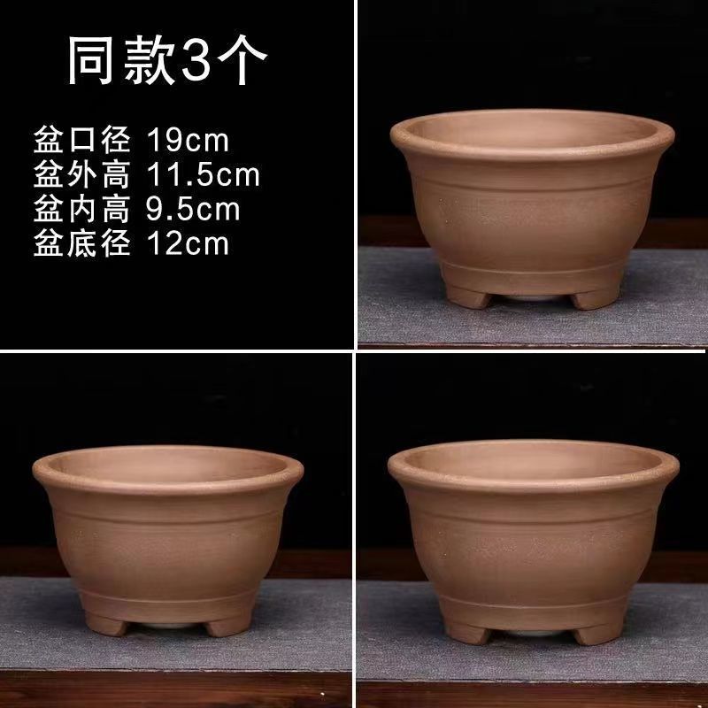 植木鉢セラミック大口径紫砂樹大口径植樹大型スーパーマーケットメーカー卸売ドロップシッピングワンピース直販|undefined