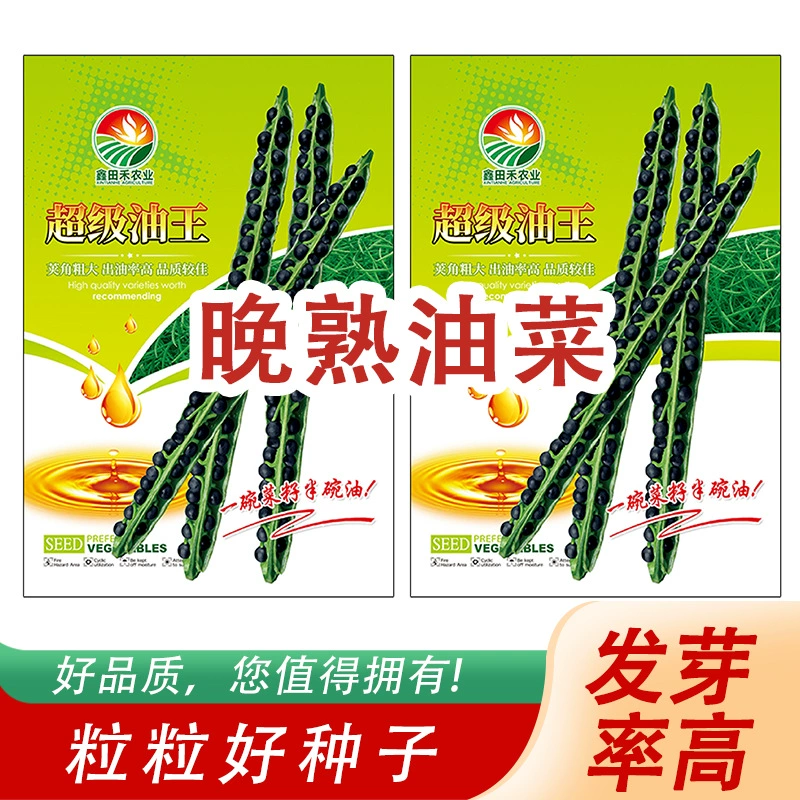 Чаша рапса и половина чаши масла. Позднеспелые семена растений рапса вкусны и освежающие. Оптовая продажа от производителя семян рапса.