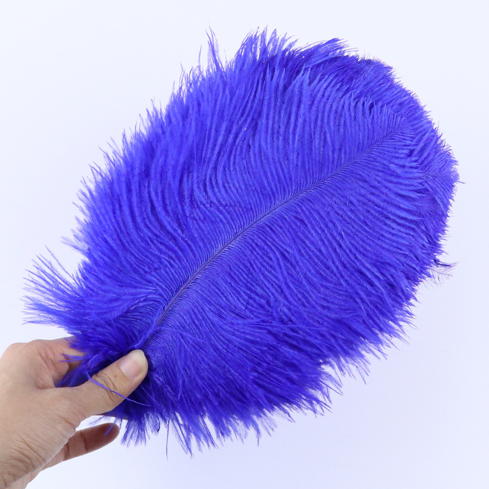 로얄블루 20-25cm, 10개입