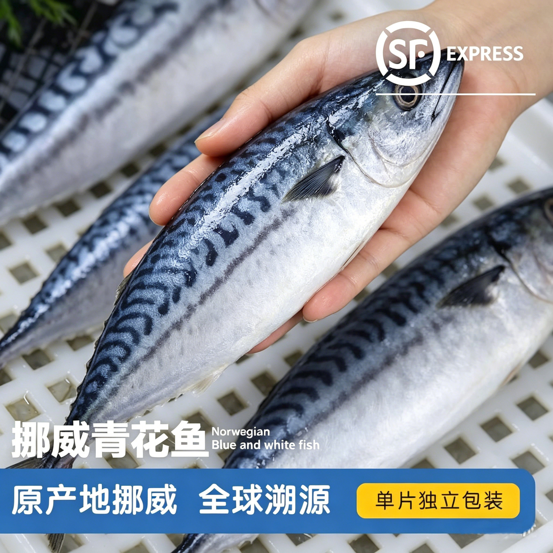 挪威青花鱼切片【原产地挪威】一片150g左右装深海鲭鱼去骨青花鱼