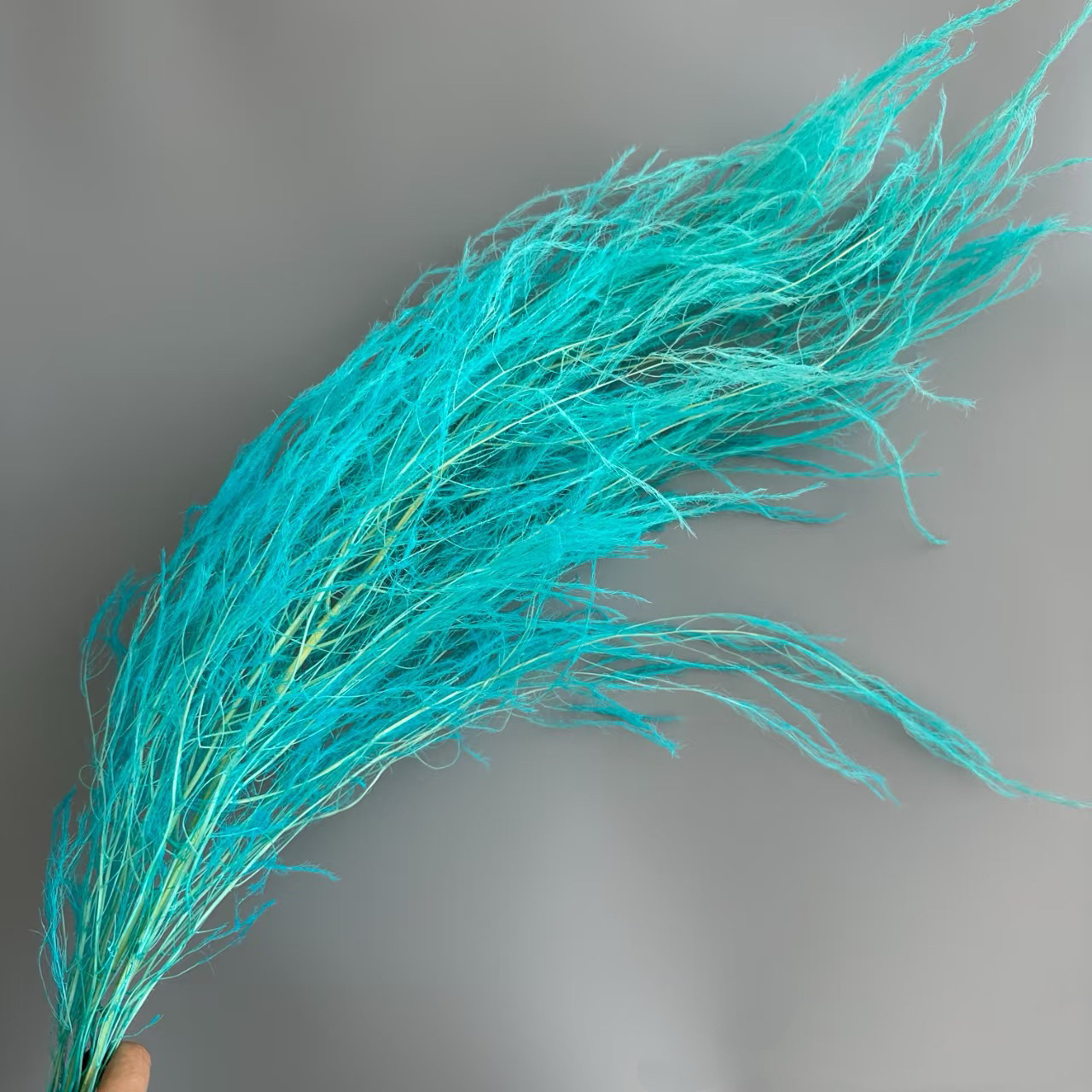 Florista sueña material floral suave decoración de bodas hierba de pelo seco flores eternas multicolores al por mayor