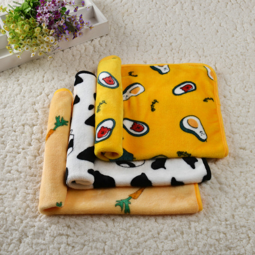 Pet products blanket manufacturer wholesale dog blanket super soft warm coral velvet dog bed mat cat and dog blanket