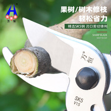 faK5䓹@֦ߴ֦@ֈ@ˇ辰r