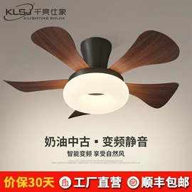 吸顶灯;吊灯;成套灯具