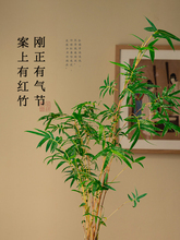 2P80�t�^��������ֲ���҃Ⱦ��^ˮ�����ӑ��������k���Ҳ��ҾGֲС