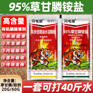 �W��� 95%�ߺ����ݸ���@�ĵزݸ��׳��ݠ������ߝ�ȳ��݄�