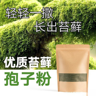 ̦�\�N�ӷ�ĩ��ˮʯ��ɽ��ˮʯ�辰�r����̦�N��̦�\���ӷۉ�����