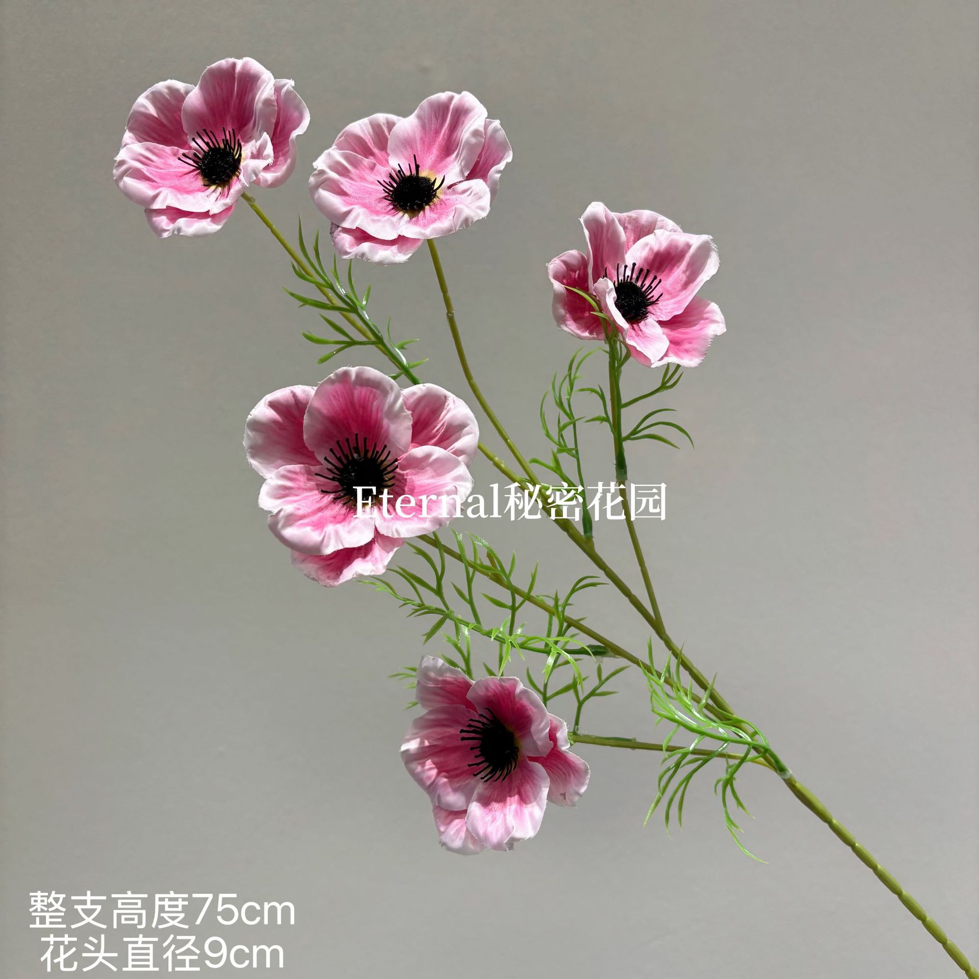 불꽃놀이 아네모네